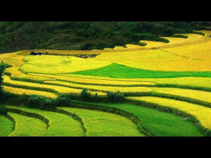 Diễn biến bầu cử Tổng thống - Cảm hứng video marketing từ Hotspot Matrix