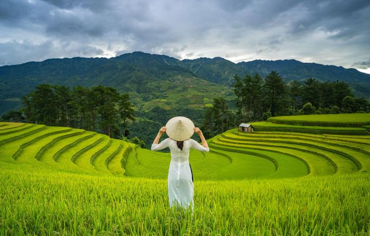 Triệu View Từ Vlog Thú Cưng: Bí Quyết Thành Công Cùng Hotspot Matrix