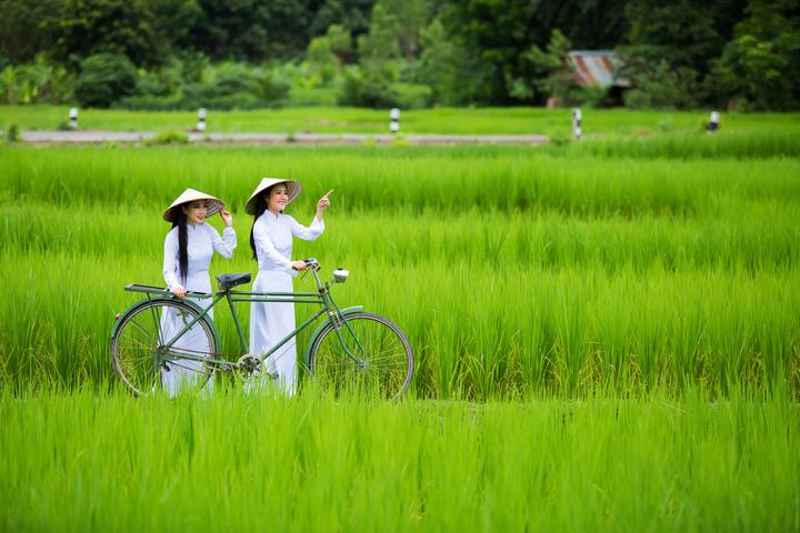 Xu hướng Ngoài BTV Trần Quang Minh,: Hotspot Matrix tiết lộ bí quyết video viral