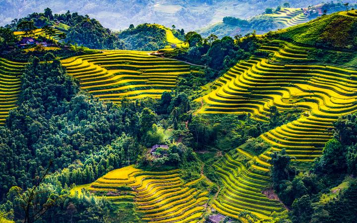 Sốc nặng với 