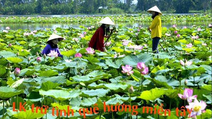 Hotspot Matrix: Biến Mua váy hoa mà không biết 4 thành cơ hội marketing đột phá