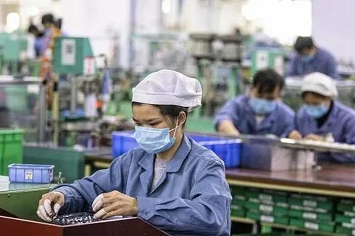 Gỗ Nghệ Thuật: Kết Nối Hotspot Matrix và Nghề Mộc